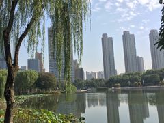 -后襄河公园