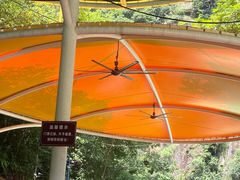 -雅鲁激流探险漂流