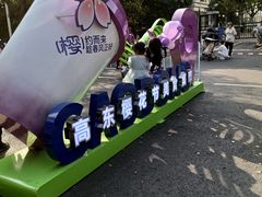 -高东镇樱花园