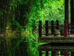 -棠湖公园