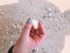 -东姑阿都拉曼海洋公园