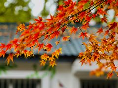 -华山儿童公园