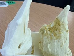 -野人先生Gelato(上海长宁龙之梦店)