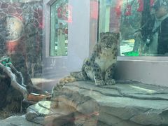 -青藏高原野生动物园