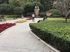 -徐家汇源景区-衡山公园