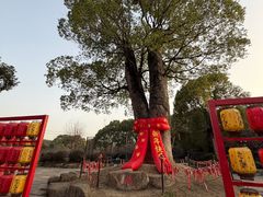 -韩湘水博园