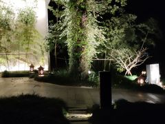 -普陀山雷迪森庄园