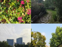 -杭州城北体育公园