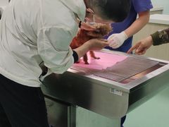 -北京观赏动物医院·24小时大型综合·猫专科·异宠专科
