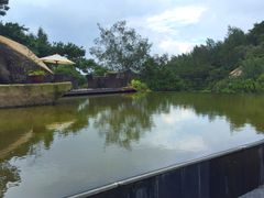 -厦门园林植物园-植物园滴水山房