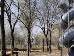 -安德鲁户外烧烤帐篷营地(马泉营店)