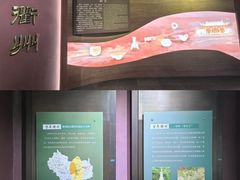 -衢州市博物馆