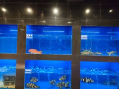 水产区-金时代顺风大酒店(临港百联店)