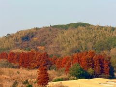 -平湖九龙山旅游度假区
