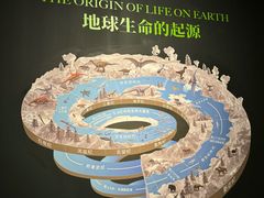 -遇见博物馆(遇见海洋沉浸式奇幻光影展)