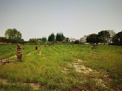 -嘉北郊野公园