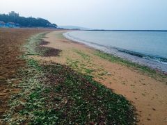 iphone_upload_pic-青岛第二海水浴场