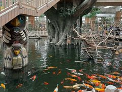 -南宫五洲植物乐园