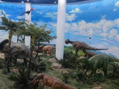 -吉林省自然博物馆