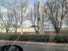 -玛尚诺意式餐厅(官舍店)