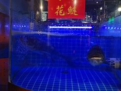-蛙一刀·麻椒鱼火锅(金仙桥店)
