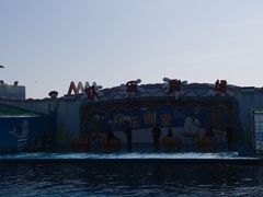 -海合安青岛极地海洋公园