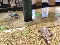 -宝燕海鲜(好爱店)