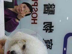 -特一安24小时宠物医院·骨科·中兽医