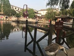 -定园