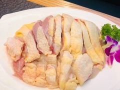 -财神鸡煲(华强北店)