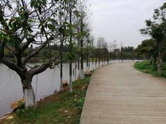 -松山湖南湖湾露营营地