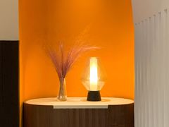 -阿妮叶李(光谷世界城店)