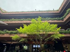 -瑞虹新天地月亮湾