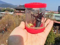 -杭州宋城