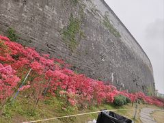 -老门东历史文化街区