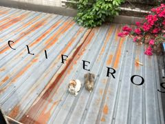-素咫咖啡CLIFEROSE(新安店)