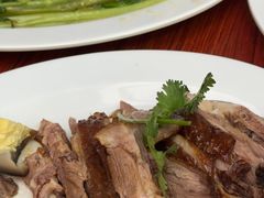 -乌文新澄海卤鹅店