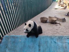 -沈阳森林动物园