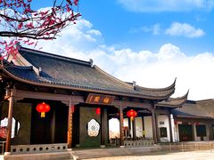 -灌云梅园景区