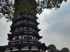 -洋湖国家湿地公园