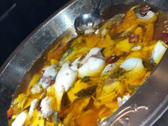 -雲蜀龙阁·金牌水煮鱼(方庄店)