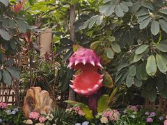 -沈阳植物园