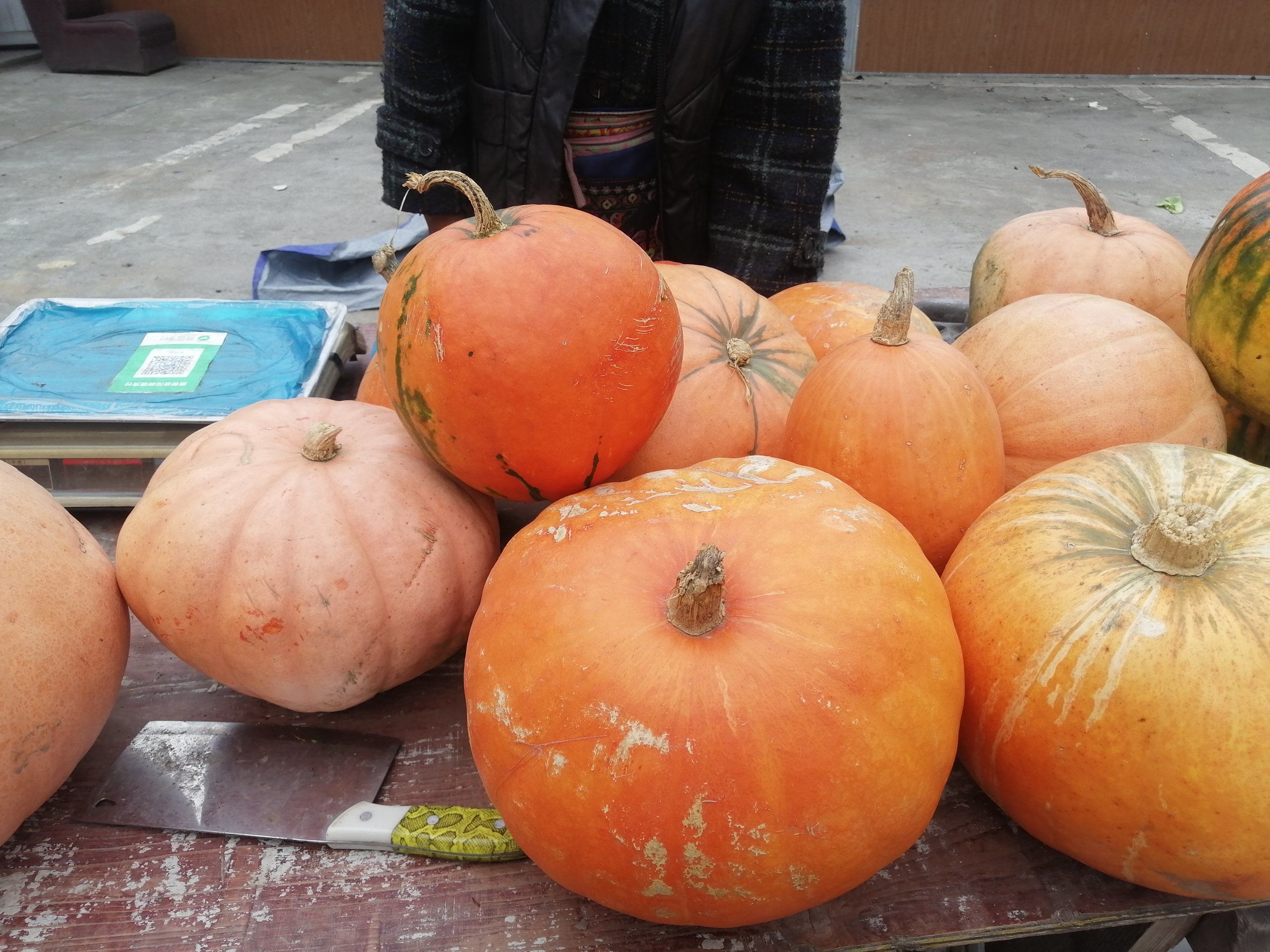 漂亮的彩色南瓜