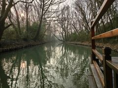 -西溪国家湿地公园