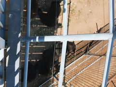 -大青山野生动物园