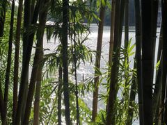 -广州市干部健康管理中心