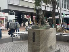 -涩谷区
