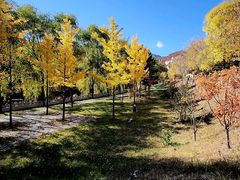 -云蒙山风景区