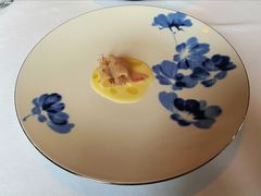 奶油鲷鱼片-Alo