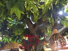 -草原塞蛮羊火锅城(港湾店)